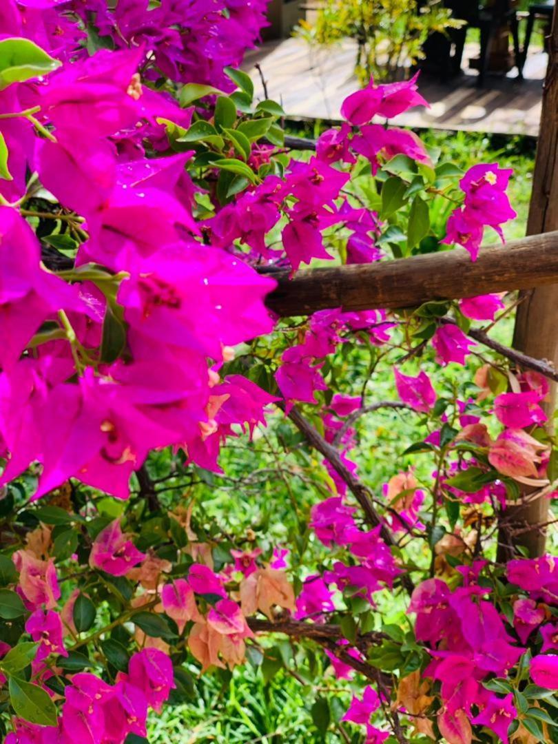Jungle Breeze Home Stay คาซาเนอ ภายนอก รูปภาพ